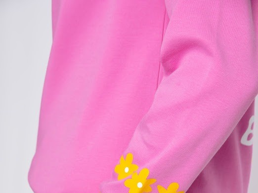 17749765856706616227399996697527