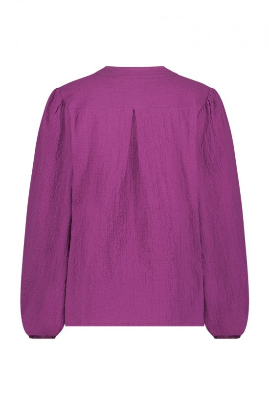 Aras fuchsia blackback