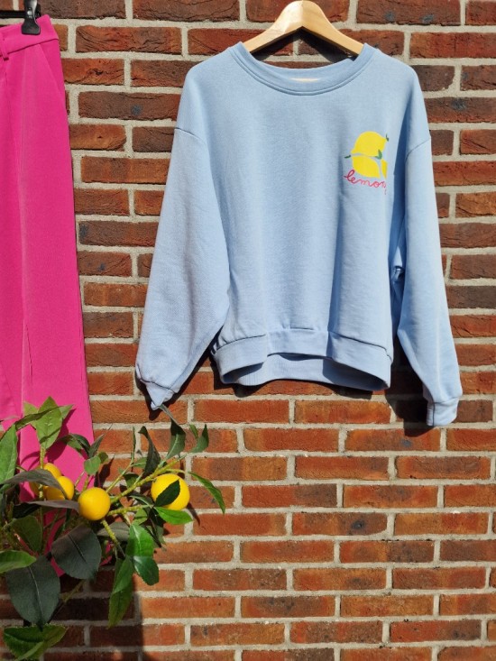 Lemon sweater lichtblauw front