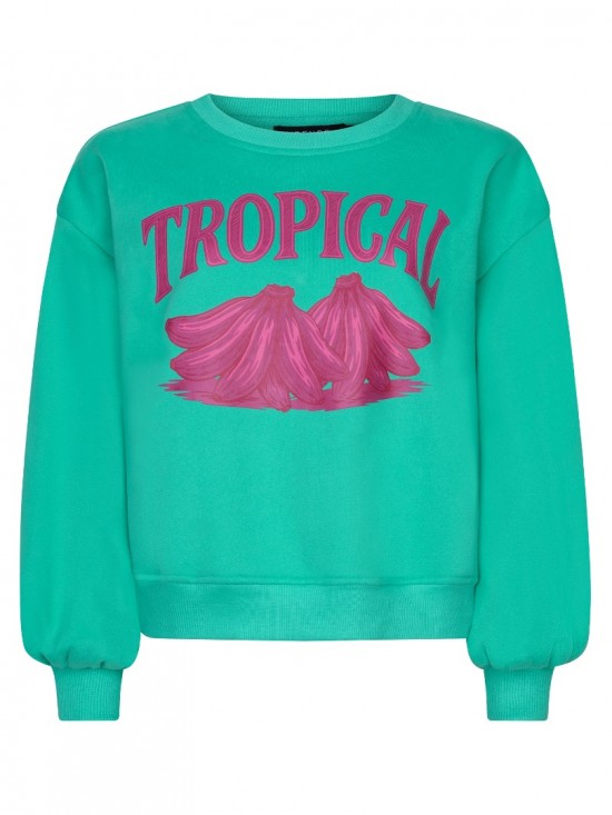 Sweater tropical sea green frontwhite background